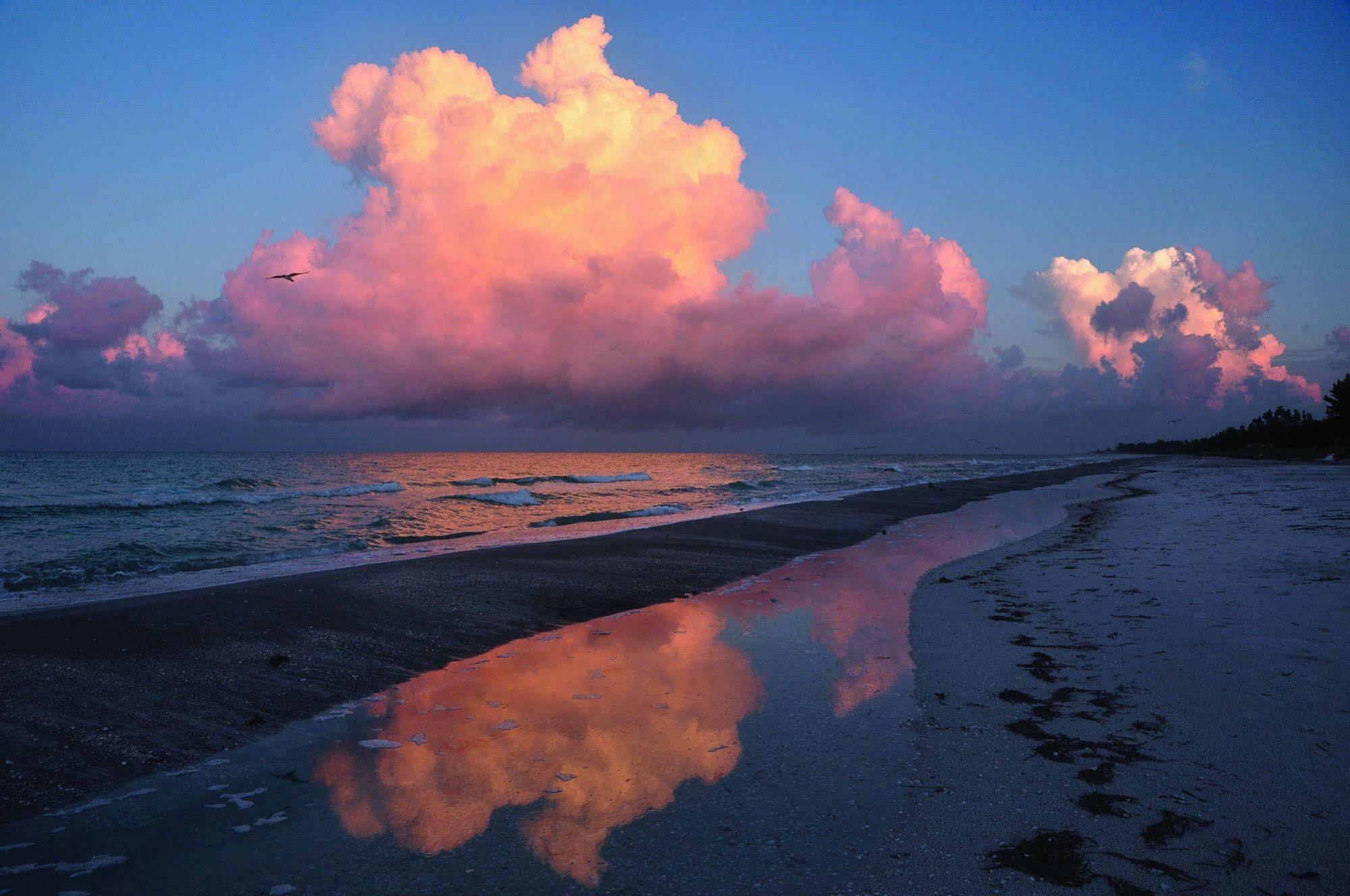 Beach Castle Resort By Rva Longboat Key Exterior foto
